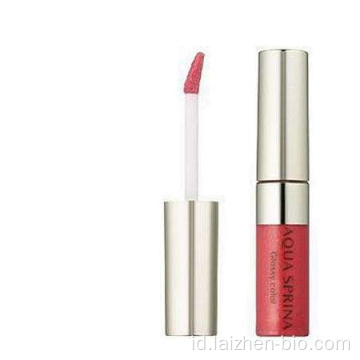 Label pribadi kustom Lip gloss cerah multi-warna